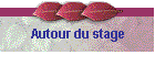 Autour du stage