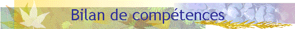 Bilan de compétences