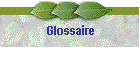 Glossaire