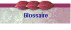 Glossaire