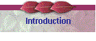 Introduction