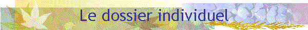 Le dossier individuel