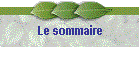 Le sommaire