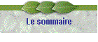 Le sommaire de "L'achat de formation"