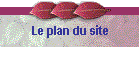 Le plan du site