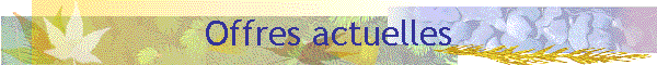 Offres actuelles